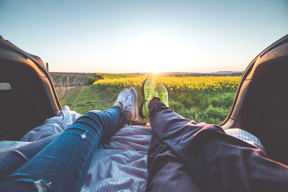 relaxing on the farm